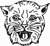 Bobcat Coloring Pages Snarl sketch template