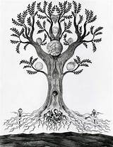 Yggdrasil Tattoo Deviantart Verreaux Tree Life La Norse Yggdrasill Tattoos Coloring Symbols Awesome Thread El Arbol Mundo Dark Choose Board sketch template