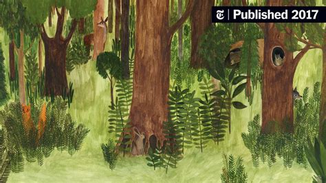 childrens books explore  world   woods   york times