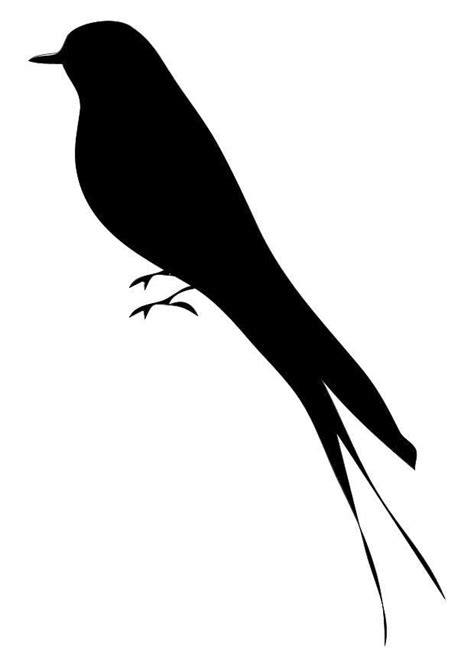 coloring page bird  printable coloring pages img