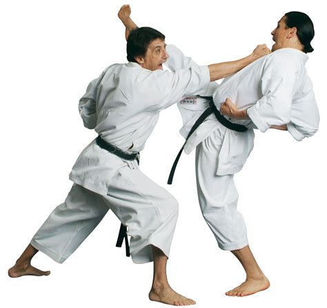 world wide martial arts karate