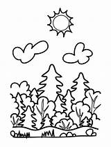 Wald Malvorlage Natur Desene Floresta Forestry Poluare Creion Padure Malvorlagen Drucken Berge Despre Colorat Damy Tiere Landschaft Insel sketch template