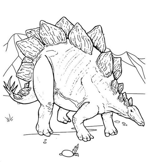 top stegosaurus coloring page  children