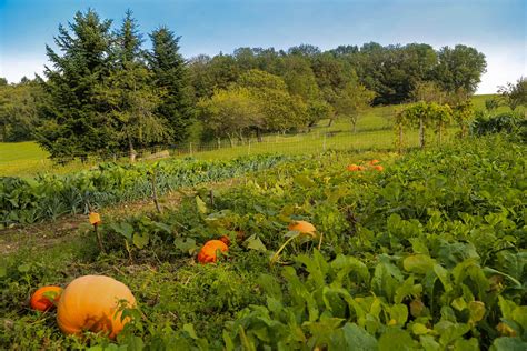 lagriculture bio pousse dans les hauts de france la gazette oise