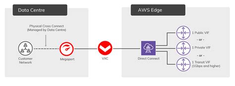 aws via hosted hosted vif and dedicated connections megaport