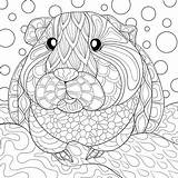 Guinea Meerschweinchen Pigs Animal Ausdrucken Cavia Kleurplaat Tegninger Svaere Dyr Omnilabo Animaux sketch template