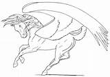 Pegasus Coloring Drawings Lineart Pages Prancing Deviantart Books Last Popular sketch template