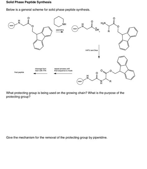 solid phase peptide synthesis    general cheggcom