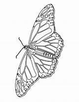 Coloring Pages Butterfly Printable Kids Butterflies Monarch Bestcoloringpagesforkids Bookmark Blank Land Mycoloringland sketch template