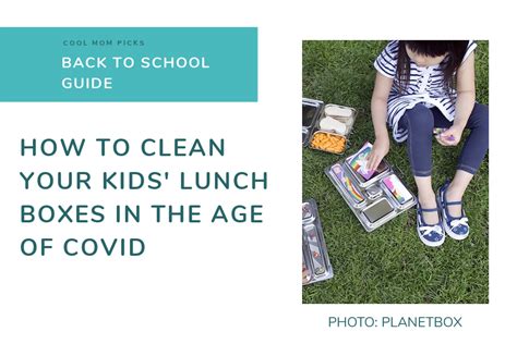 school guide   safely clean lunch boxes  covid