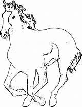Horse Coloring Wecoloringpage Pages sketch template