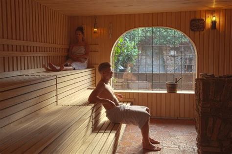 Sauna Van Egmond Haarlem 2020 Ce Quil Faut Savoir Pour Votre