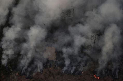 starnieuws brazilie milieuminister uitgejouwd om amazone branden