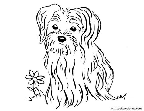yorkshire terrier coloring pages  flower  printable coloring