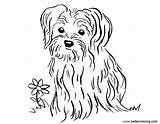 Coloring Pages Yorkshire Terrier Flower Printable Adults Kids sketch template