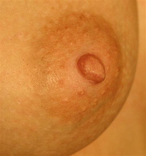 Big Nipple Pics Make My Cock Throb Xnxx Adult Forum