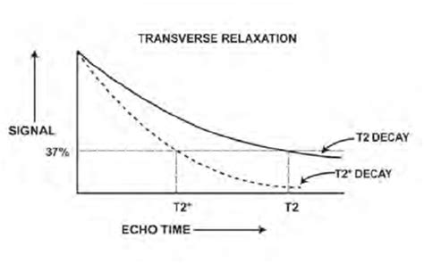 diagram showing     relaxation decay curves