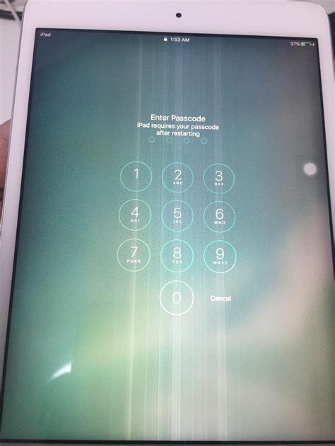ipad mini  screen problem    whats wrong ripad