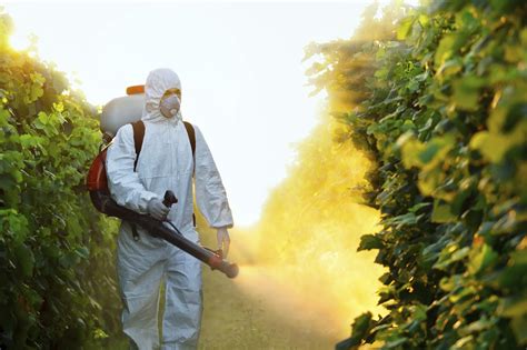 european court  justice pesticide safety studies   disclosed sustainable pulse