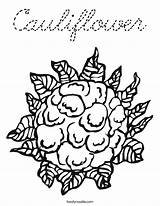 Coloring Cauliflower Cursive Built California Usa sketch template