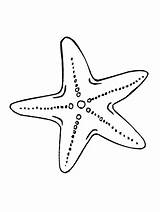 Coloring Star Sea Pages Starfish Drawing Printable Animals Animal Patrick Invertebrates Stars Print Ocean Live Sheets Getdrawings Visit Source sketch template