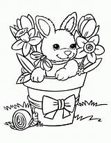 Coloring Bunny Pages Cute Baby Printable Popular sketch template