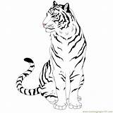 Tiger Lineart Sketch Rules Clipartbest Clipartpanda sketch template
