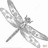 Ausmalbilder Libelle Dragonfly Zentangle sketch template