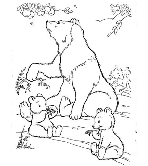top   printable polar bear coloring pages