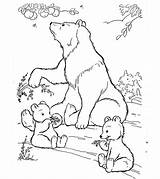 Coloring Pages Bear Polar Animals Wild Animal Sketch Printable Wildlife Kids Cute Jungle Momjunction Color Print Ones Life Little Getcolorings sketch template