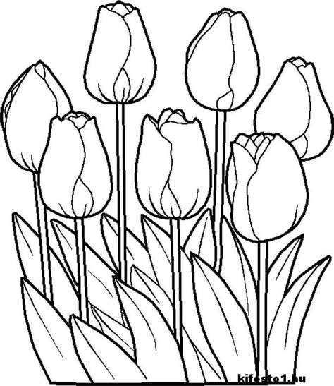 image result  flowers outline flower coloring pages halloween