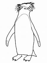 Penguin Outline Drawing Paintingvalley Coloring Baby Pages sketch template