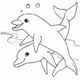 Coloring Pages Dolphin Dolphins Kids Print Visit Sheets sketch template