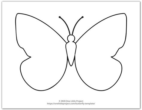 large butterfly template  butterfly template butterfly coloring