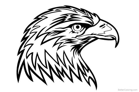 eagle coloring pages head  printable coloring pages