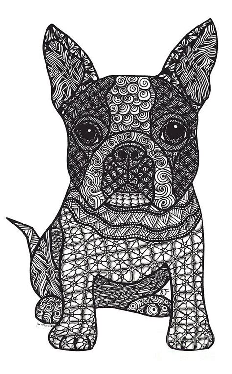 images  coloring pages  pinterest dovers coloring