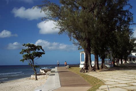 The Barbados Boardwalk Nature And Heritage Shared
