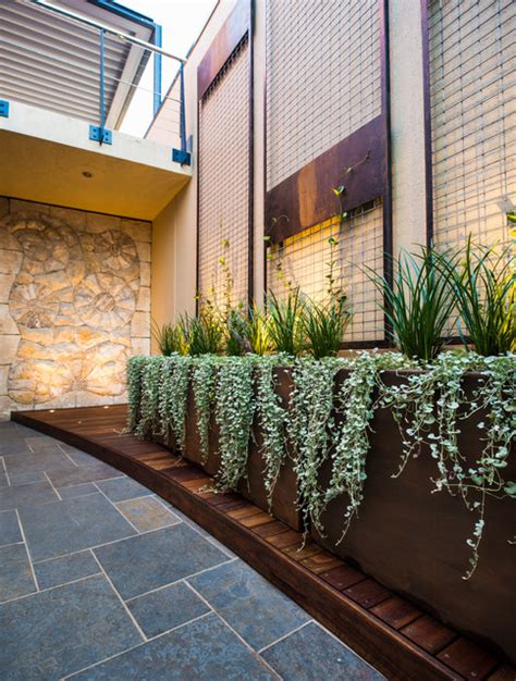 fremantle courtyard contemporary patio perth  cultivart