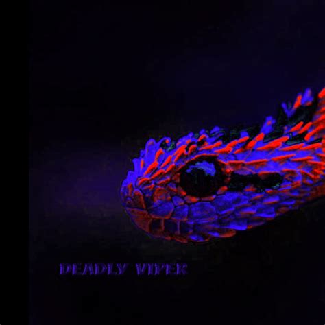 deadly viper youtube