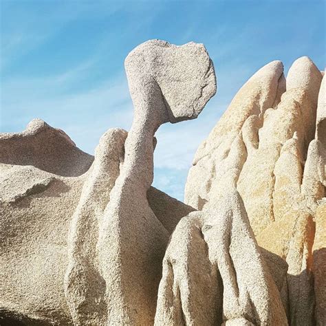 rocks  shaped  animals   long necks