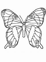 Vlinders Schmetterlinge Malvorlage Vlinder Kleurplaatjes Stemmen Stimmen sketch template