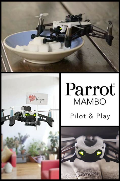 experience  thrill  piloting   stunt plane   parrot mambo minidrone built