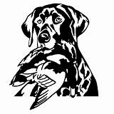 Decal Lab Labrador Retriever Head Detailed Mallard Dog Decals Hunting Sticker Dogs Huntemup sketch template