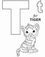 Alphabet Pintar Sitters Ausmalen Tigers Sheets sketch template