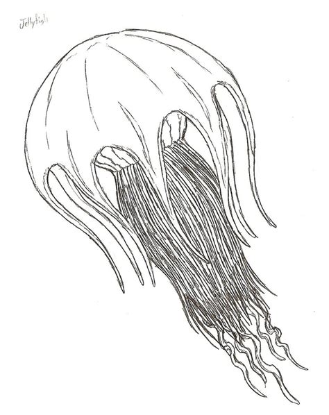coloring pages jellyfish  adult  coloring pages