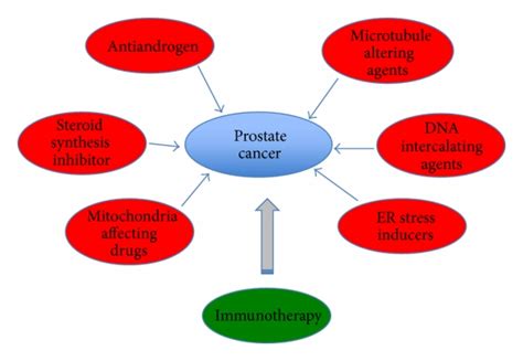 current treatment options for advanced prostate cancer several classes download scientific