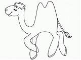 Coloring Camel sketch template