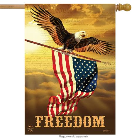 freedom patriotic house flag bald eagle usa    briarwood lane