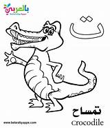 Arabic Alphabet Coloring Pages Worksheets Letter Preschoolers Taa Kindergarten sketch template