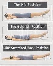 sun ancon chi machine instructions arm positions